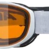 Alpina CHALLENGE 2.0 Skibrille - White-white Mat