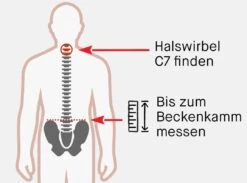 POC Joint VPD System Torso - Brust- Und Rückenprotektor 9 POC Joint VPD System Torso - Brust- Und Rückenprotektor -Sport Gear Angebote Store Torsolaenge messen